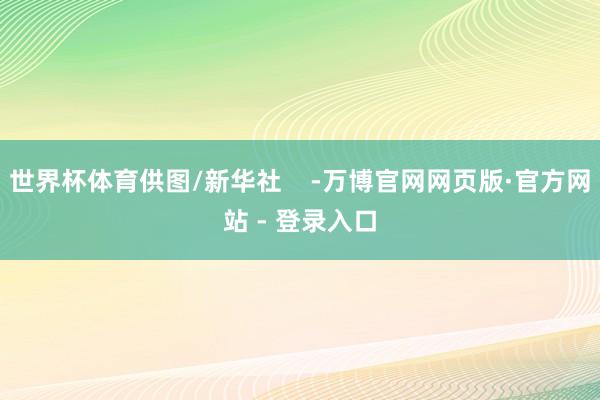 世界杯体育供图/新华社    -万博官网网页版·官方网站 - 登录入口