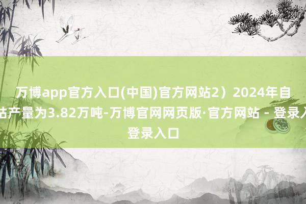 万博app官方入口(中国)官方网站 2)2024年自有钴产量为3.82万吨-万博官网网页版·官方网站 - 登录入口