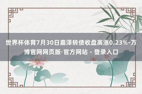 世界杯体育7月30日嘉泽转债收盘高涨0.23%-万博官网网页版·官方网站 - 登录入口