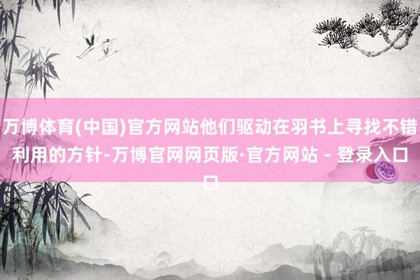 万博体育(中国)官方网站他们驱动在羽书上寻找不错利用的方针-万博官网网页版·官方网站 - 登录入口