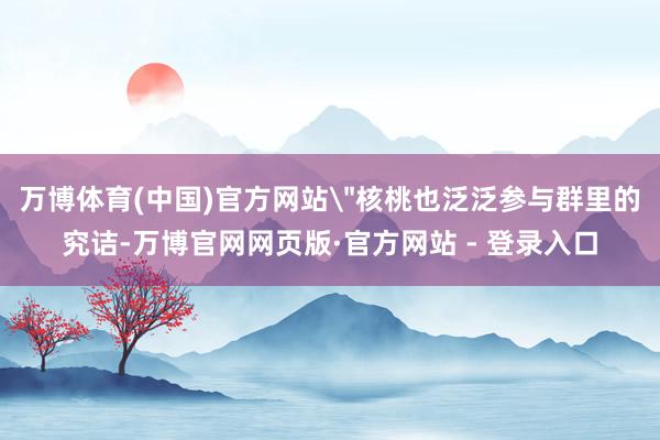 万博体育(中国)官方网站